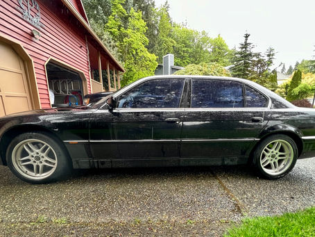 The New Whip