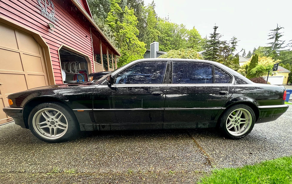 The New Whip