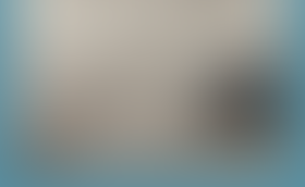 YOUR 3 VOICES - who do you listen to?