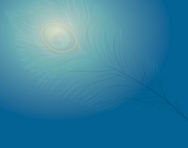 A delicate peacock feather against a gradient blue background, with subtle light glowing from its eye pattern, creating a serene atmosphere. The logo for Indira Kennedy Ltd.