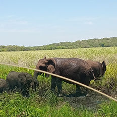 Maputo Special Reserve tour