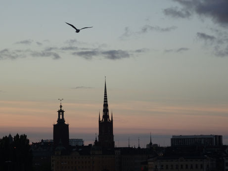 Stockholm #1 - Gamla Stan