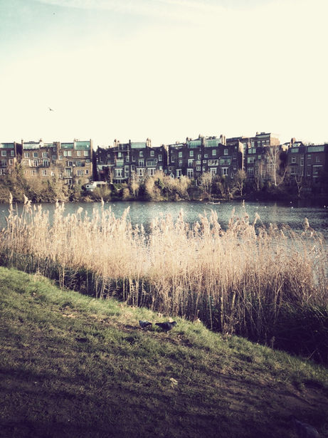 Now in London #2 - Hampstead Heath Park