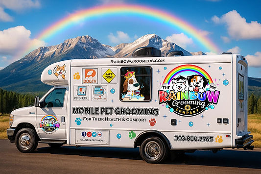 RainbowVan.jpg