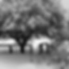 IMG_4247.jpeg