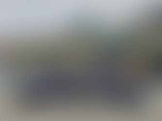 기동화력시범 참관