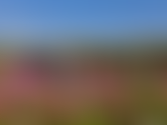 "사진으로 사랑을 품다" 문화예술 교육 프로그램