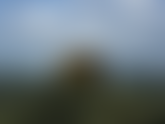 Welcome to the " Pearl of the Indian Ocean" - Sri Lanka.