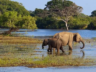 Most Attractive places in Sri Lanka.