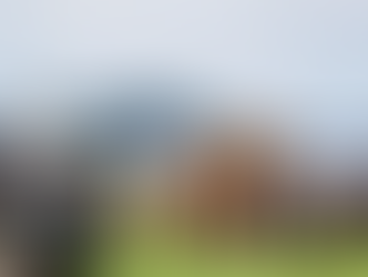 The most adventurous things to do in Sri Lanka