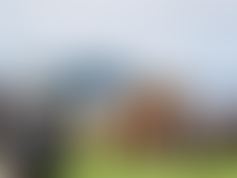 The most adventurous things to do in Sri Lanka