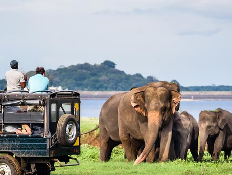 The most adventurous things to do in Sri Lanka