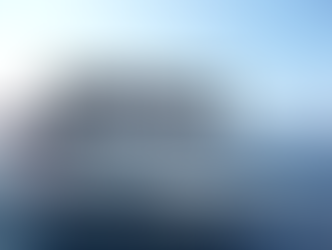 A Day With Dolphins.