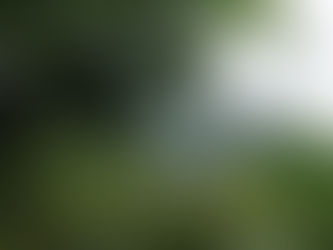 Cómo Saber el Origen de tu Café: La Trazabilidad Café Origen