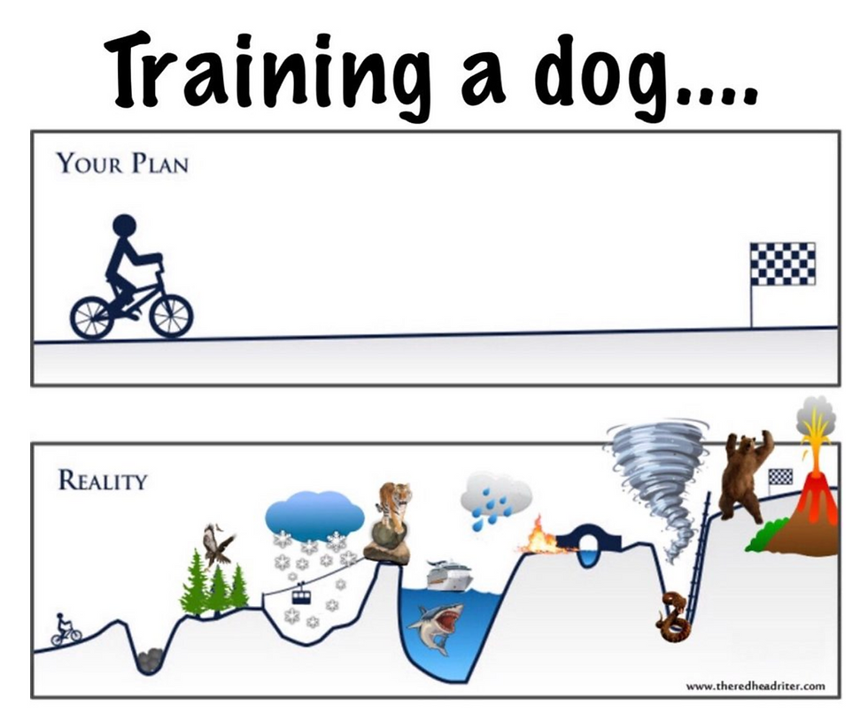 En illustration der viser at hundetræning er en rejse med mange udfordringer.