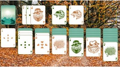 DY Solitaire