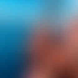 father daughter parasailing