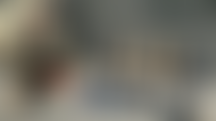 PRF apreende arsenal e toneladas de drogas na região da tríplice fronteira