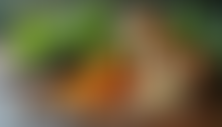 Discover the Best Adaptogen Supplement for Women to Support Stress Relief and Hormonal Balance