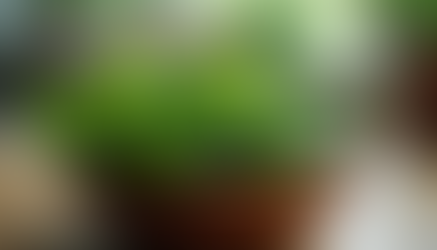 How to Sync Your Menstrual Cycle: Nutrition, Workouts & Adaptogen Tips for Every Phase