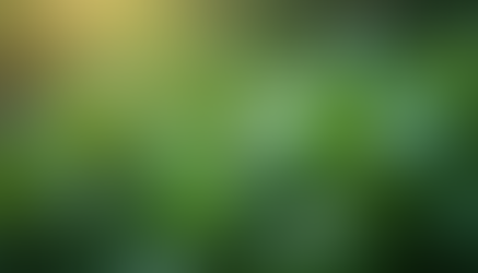 Unlocking Serenity: A Wellness Blend for Natural Stress Relief Management