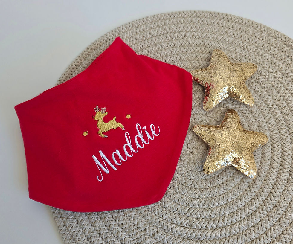 Personalised embroidered Christmas Bib