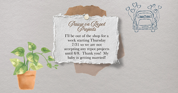 Pause on Repot Projects (Facebook Post).png