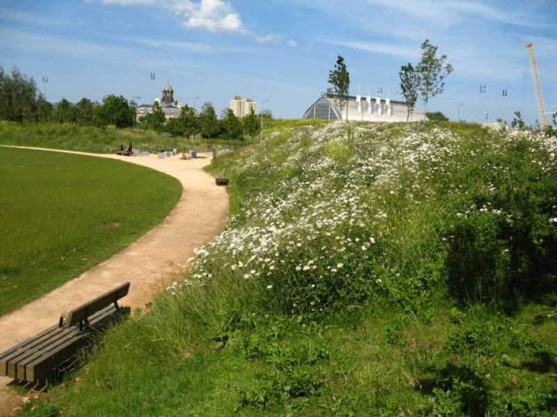 Three mills green - Churchman Landscape Architects