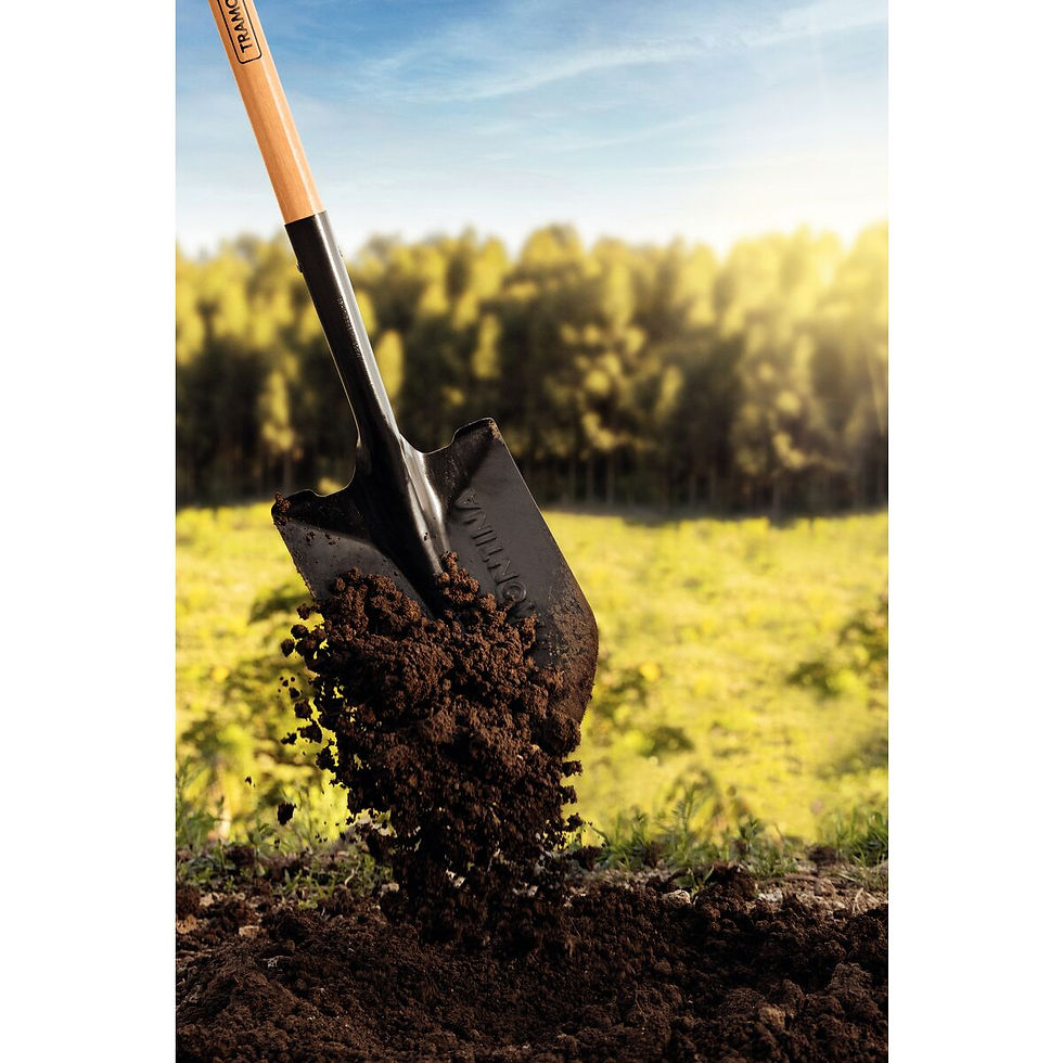 Ferreira costa Leroy merlim em salvador ba Pá de Bico Tramontina 470/20 em Aço com Cabo de Madeira 120 cm Em Lauro de Freita