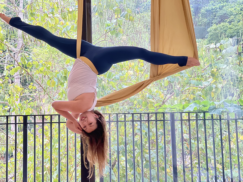 Aerial yoga /Aerial hoop