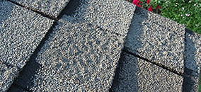 blistering shingles.jpg