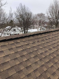 Roof 3.jpg