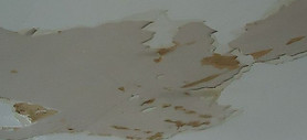 water ceiling photo.jpg