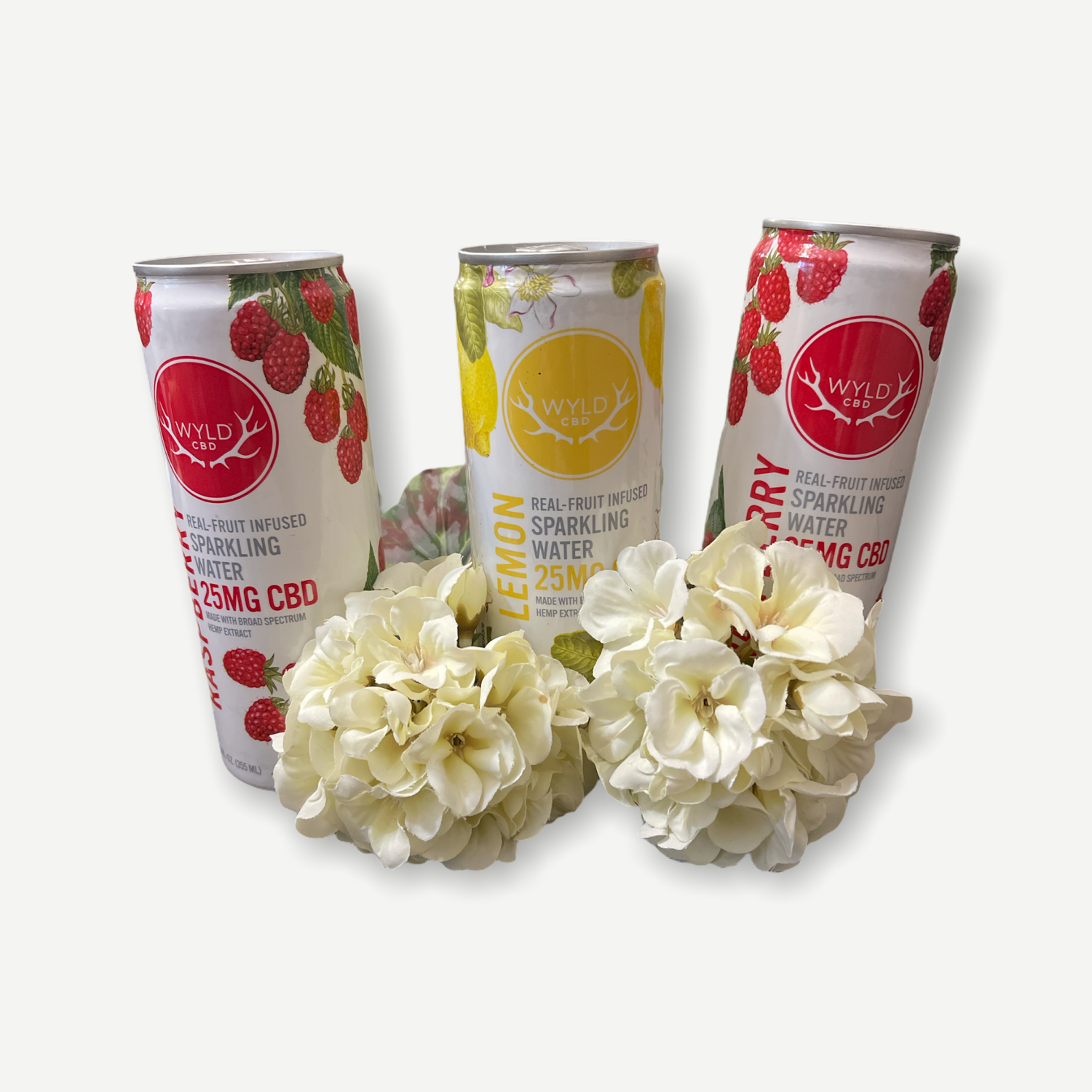 Infused Fruit Sparkling Water