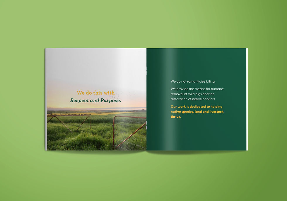 Brand book layout and design for Pig Brig Trap Systems, by St. Pete based advertising agency.