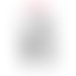 MEAT-BASED ALTERNATIVE...