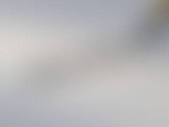 67 WHAT'S IN A NAME...