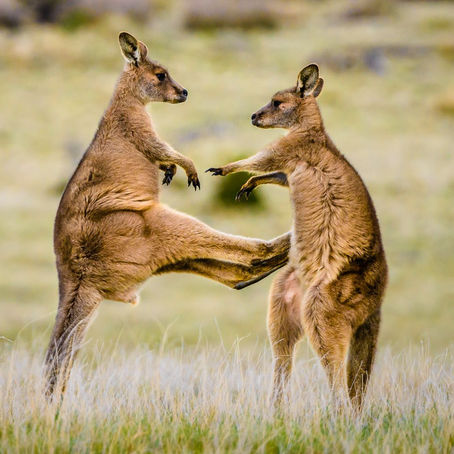 OK SAILOR, YOU FANCY SOME?