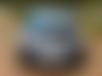 33 CALL ME A KUGA...