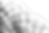 Flag.png