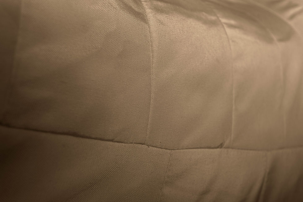 ภาพขนาดย่อ: Taupe - close up