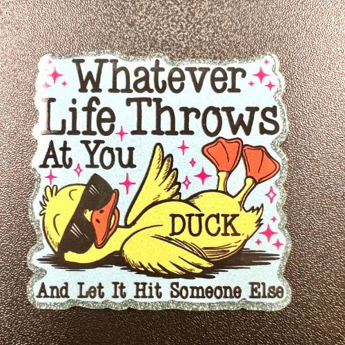 Whatever Life Throws Duck Acrylic