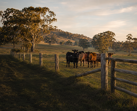 Livestock and Property Management.png