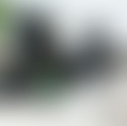 Thermomix cutter