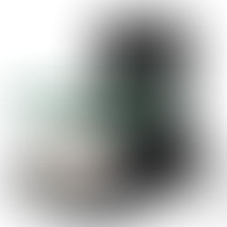 Buy Thermomix TM7 in instalments in the Netherlands. How does it work?