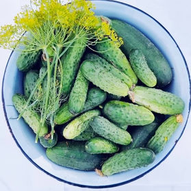 Thermomix Dieet