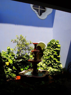 Innenhof Guesthouse/ Antigua