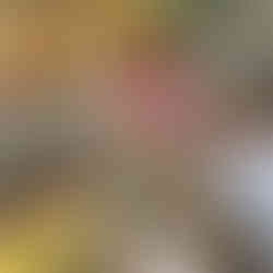 a man trying to win a teddy bear by а shooting game