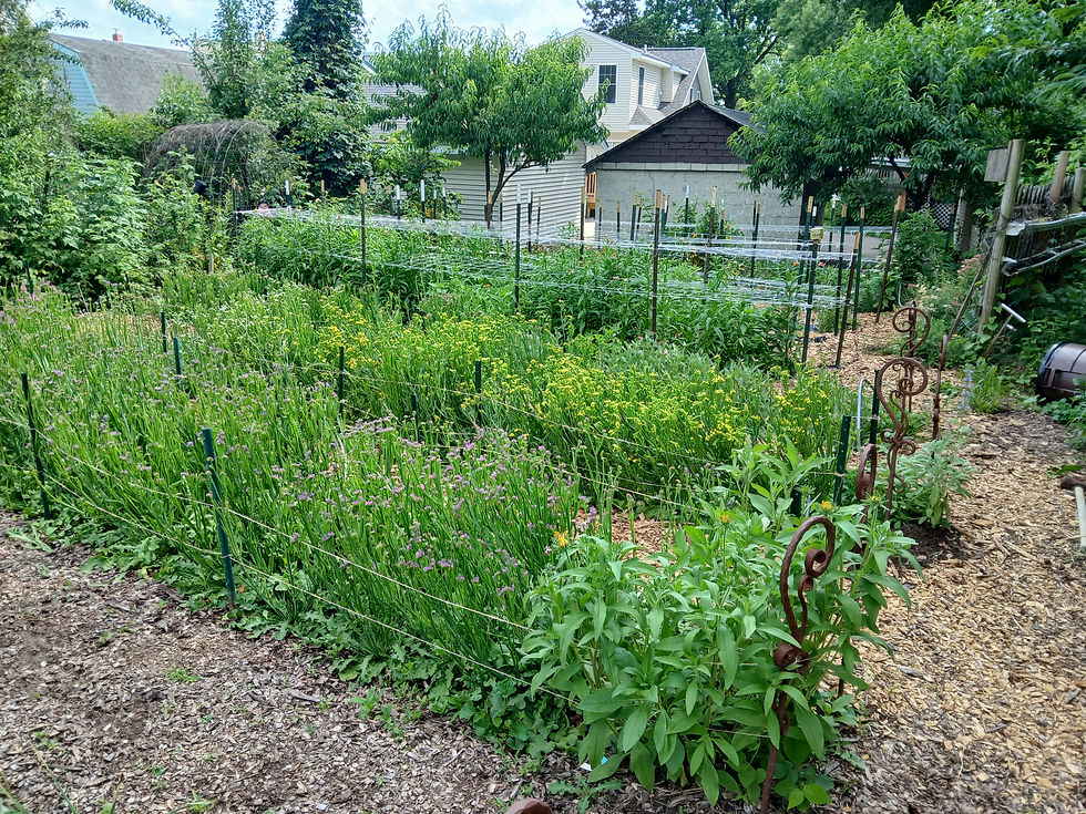 Garden.jpg