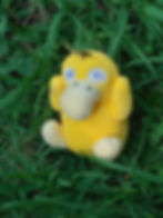 Pokey in My Pocket with Psyduck